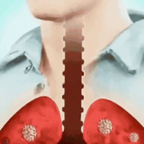 OviAir™ Herbal Lungs Cleanse Diffuser